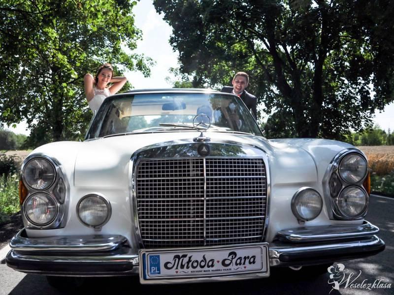 Klasykiem do ślubu Mercedes W108 | Auto do ślubu Łódź, łódzkie - zdjęcie 1