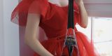 Julia Pastewska Violin Skrzypce i śpiew | Oprawa muzyczna ślubu Goleniów, zachodniopomorskie - zdjęcie 3