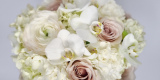 Pracownia Florystyczna Suerte Flowers, Będzin - zdjęcie 6