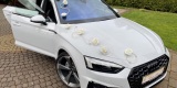 Białe Audi A5 B9 / A6 C7 / A5 B8 | Auto do ślubu Siewierz, śląskie - zdjęcie 5