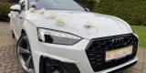 Białe Audi A5 B9 / A6 C7 / A5 B8 | Auto do ślubu Siewierz, śląskie - zdjęcie 6