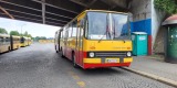 SimKol S.A. autobusy Ikarus i Jelcz | Wynajem busów Katowice, śląskie - zdjęcie 4