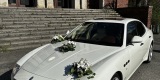 Białe Maserati Quattroporte S, Mercedes S 63AMG Long, Mercedes SL55AMG | Auto do ślubu Wrocław, dolnośląskie - zdjęcie 3
