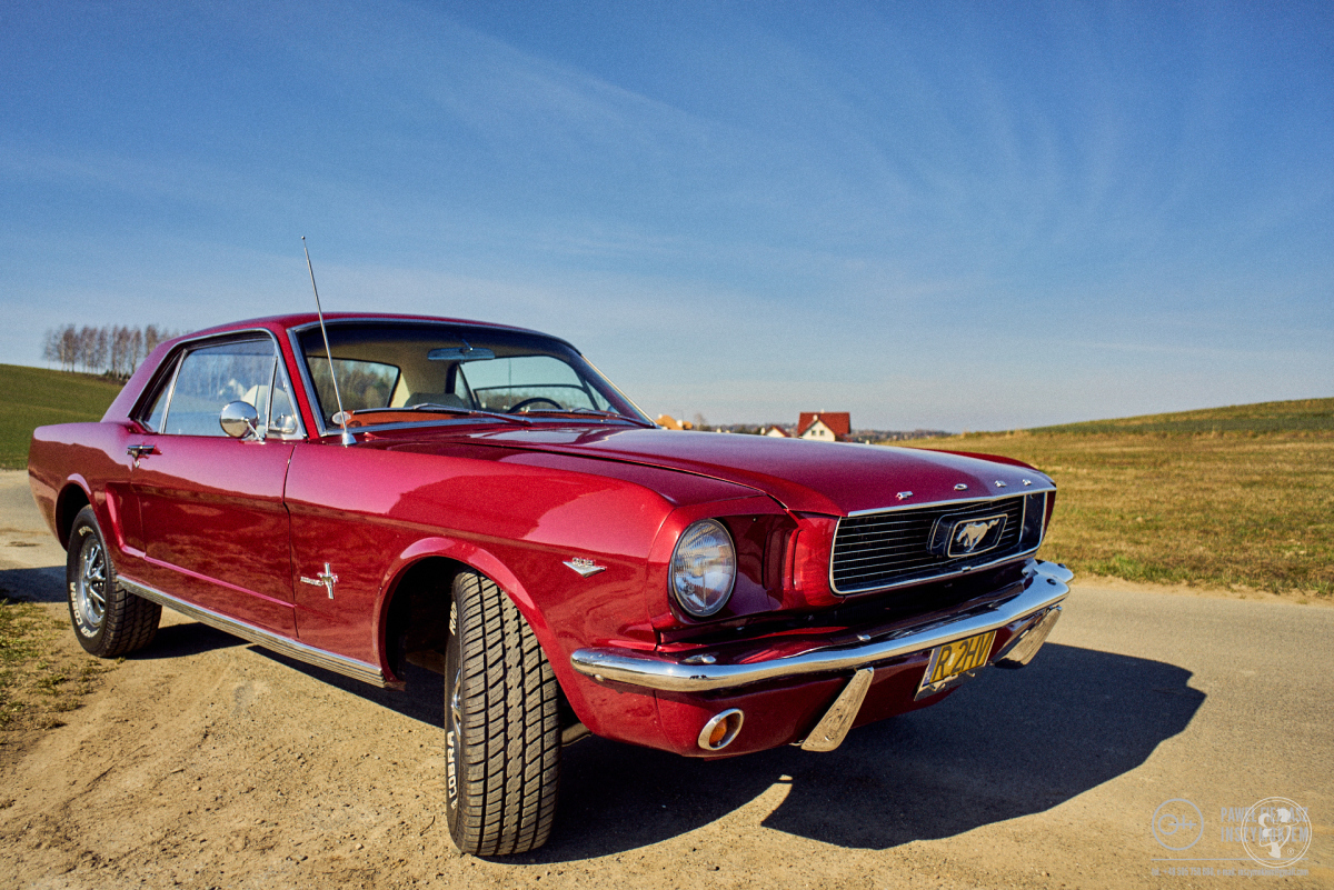 Ford Mustang 1966 i Audi A5 S-line | Auto do ślubu Krosno, podkarpackie - zdjęcie 1