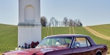 Ford Mustang 1966 i Audi A5 S-line | Auto do ślubu Krosno, podkarpackie - zdjęcie 4