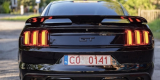 Mustang 5.0  idealny na twój ślub | Auto do ślubu Grudziądz, kujawsko-pomorskie - zdjęcie 3