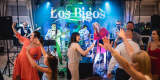 Los Bigos 100% live | Zespół muzyczny Kleczew, wielkopolskie - zdjęcie 2