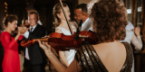 Julia Pastewska Violin Skrzypce i śpiew | Oprawa muzyczna ślubu Goleniów, zachodniopomorskie - zdjęcie 5