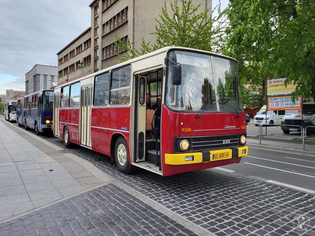 SimKol S.A. autobusy Ikarus i Jelcz | Wynajem busów Katowice, śląskie - zdjęcie 1