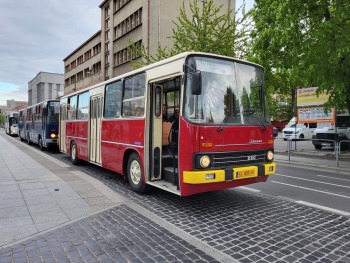 Wynajem zabytkowych autobusów Ikarus, transport gości weselnych, Wynajem busów Katowice