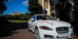 Jaguar xf- Wasze wyjątkowe auto do ślubu!, Bochnia - zdjęcie 2
