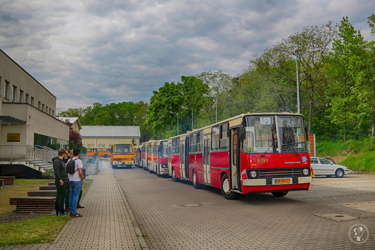 Zabytkowy autobus na ślub, wesele lub spotkanie towarzyskie | Wynajem busów Wrocław, dolnośląskie - zdjęcie 1