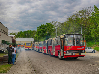 Zabytkowy autobus na ślub, wesele lub spotkanie towarzyskie | Wynajem busów Wrocław, dolnośląskie