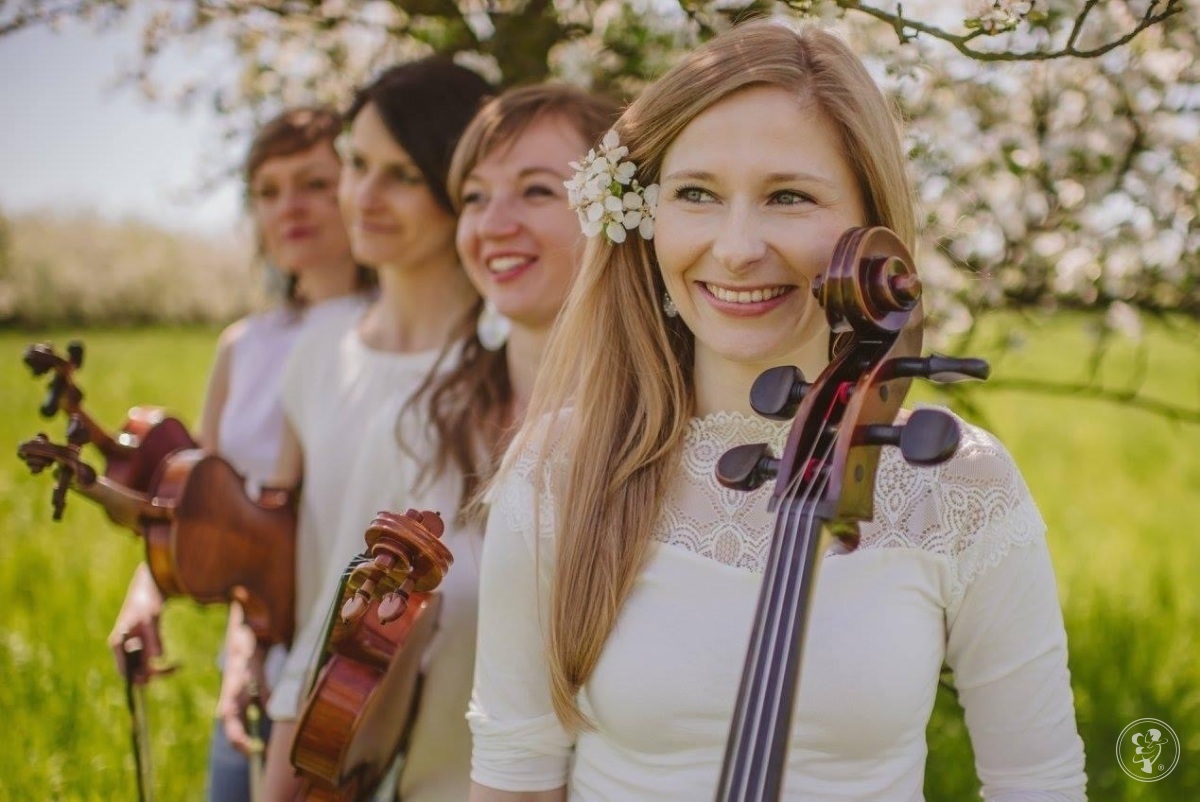 Kwartet Smyczkowy na ślubie wiolonczela, Mińsk Mazowiecki - zdjęcie 1
