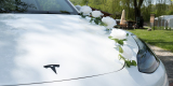 Biała Tesla model Y SUV | Auto do ślubu Wałbrzych, dolnośląskie - zdjęcie 5