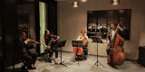 Magda Sikorska-Osuch Cellist | Oprawa muzyczna ślubu Kielce, świętokrzyskie - zdjęcie 4