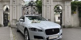 Biały Jaguar XF | Auto do ślubu Kraków, małopolskie - zdjęcie 3
