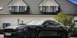 Jaguar Mustang GT Audi S7 BMW | Auto do ślubu Nowogard, zachodniopomorskie - zdjęcie 3