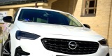 Biały Opel Insignia 230KM | Auto do ślubu Płock, mazowieckie - zdjęcie 3