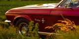 Bordowy Ford Mustang 1968 | Auto do ślubu Kraków, małopolskie - zdjęcie 5