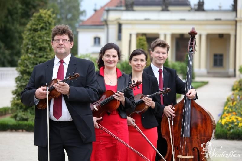 Kwartet smyczkowy ANDANTE | Oprawa muzyczna ślubu Białystok, podlaskie - zdjęcie 1