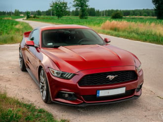 Ford Mustang do ślubu!,  Środa Śląska