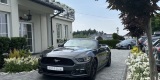 Ford Mustang Cabrio do Ślubu | Auto do ślubu Gorlice, małopolskie - zdjęcie 3