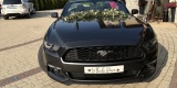 Ford Mustang Cabrio do Ślubu | Auto do ślubu Gorlice, małopolskie - zdjęcie 5
