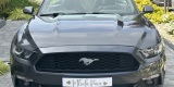 Ford Mustang Cabrio do Ślubu | Auto do ślubu Gorlice, małopolskie - zdjęcie 2