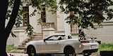 Chevrolet Camaro 6.2 V8 - 455-konny, biały kabriolet do ślubu :) | Auto do ślubu Kraków, małopolskie - zdjęcie 3