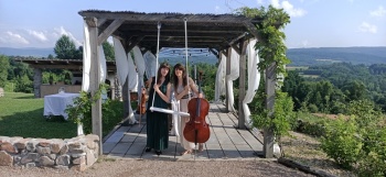 Duet smyczkowy: skrzypce i wiolonczela - oprawa muzyczna Ślubu, Oprawa muzyczna ślubu Chełmek