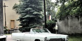 Cadillac De Ville lata 60 | Auto do ślubu Sieradz, łódzkie - zdjęcie 3