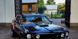 Czarny Ford Mustang 1969 5.0 V8 | Auto do ślubu Białystok, podlaskie - zdjęcie 3