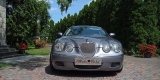 Limuzyna do ślubu - Jaguar S Type | Auto do ślubu Kcynia, kujawsko-pomorskie - zdjęcie 5