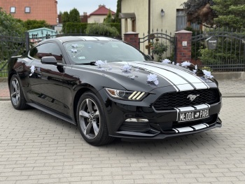 Czarny Ford Mustang | Auto do ślubu Koszalin, zachodniopomorskie