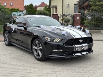 Czarny Ford Mustang | Auto do ślubu Koszalin, zachodniopomorskie