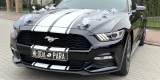 Czarny Ford Mustang | Auto do ślubu Koszalin, zachodniopomorskie - zdjęcie 2