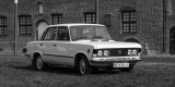 Duży Fiat FSO 125p - biały kruk, oryginał - do ślubu | Auto do ślubu Elbląg, warmińsko-mazurskie - zdjęcie 2