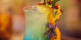 DrinkDream | Barman na wesele Tomaszów Mazowiecki, łódzkie - zdjęcie 6