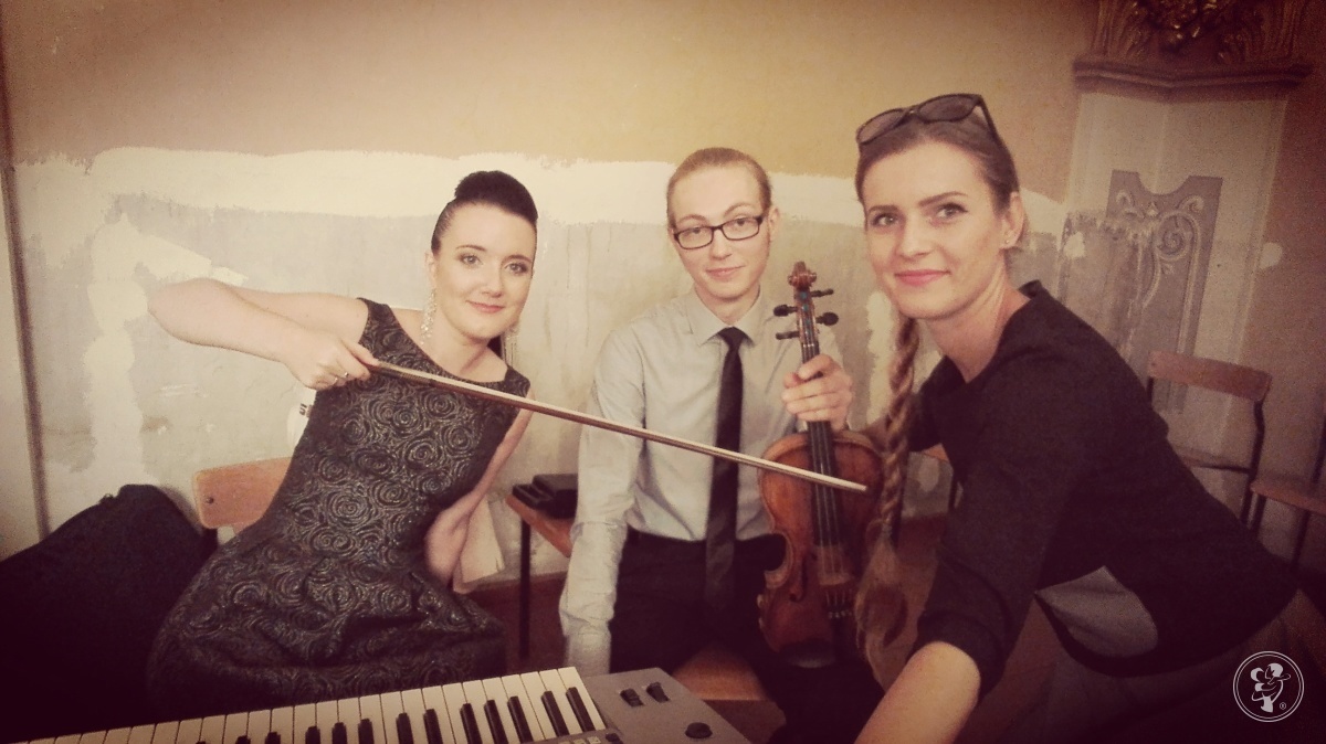 Oprawa ślubu Passion Trio | Oprawa muzyczna ślubu Wodzisław Śląski, śląskie - zdjęcie 1