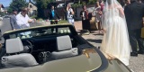 BMW 6GT 640d lub chevrolet CAMARO | Auto do ślubu Chorzów, śląskie - zdjęcie 5