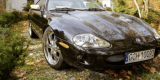 Mercedes, Mustang, Warszawa, Jaguar | Auto do ślubu Chojnice, pomorskie - zdjęcie 6