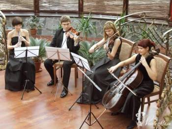 Kwartet Con Brio | Oprawa muzyczna ślubu Olsztyn, warmińsko-mazurskie