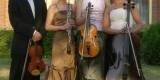 Kwartet Con Brio | Oprawa muzyczna ślubu Olsztyn, warmińsko-mazurskie - zdjęcie 2