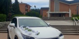 Biały Lexus NX i Czarne Volvo XC60 | Auto do ślubu Rzeszów, podkarpackie - zdjęcie 2