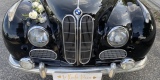 Czarne BMW 501 1955 r. | Auto do ślubu Częstochowa, śląskie - zdjęcie 5