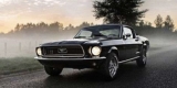 Ford Mustang zabytkowy klasyk, Limanowa - zdjęcie 2