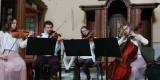 A Poco Music | Oprawa muzyczna ślubu Kraków, małopolskie - zdjęcie 6