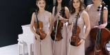 Glamour String Quartet | Oprawa muzyczna ślubu Katowice, śląskie - zdjęcie 2