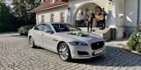 Biały Jaguar XF | Auto do ślubu Kraków, małopolskie - zdjęcie 3